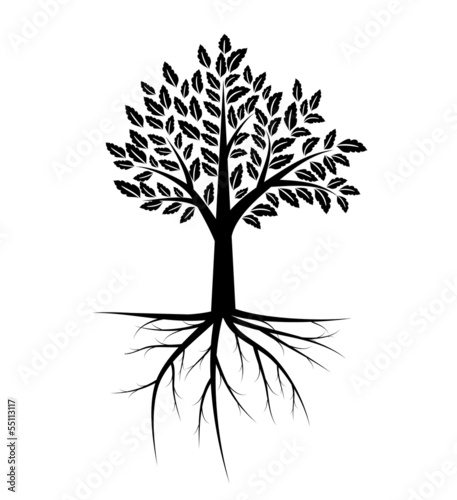 Tree illustration
