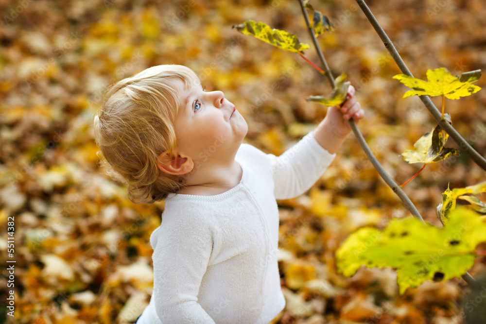 Little toddler boy in autumn park Little toddler boy in autumn park