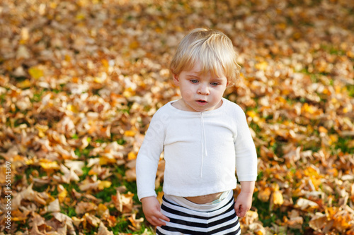 Little toddler boy in autumn park