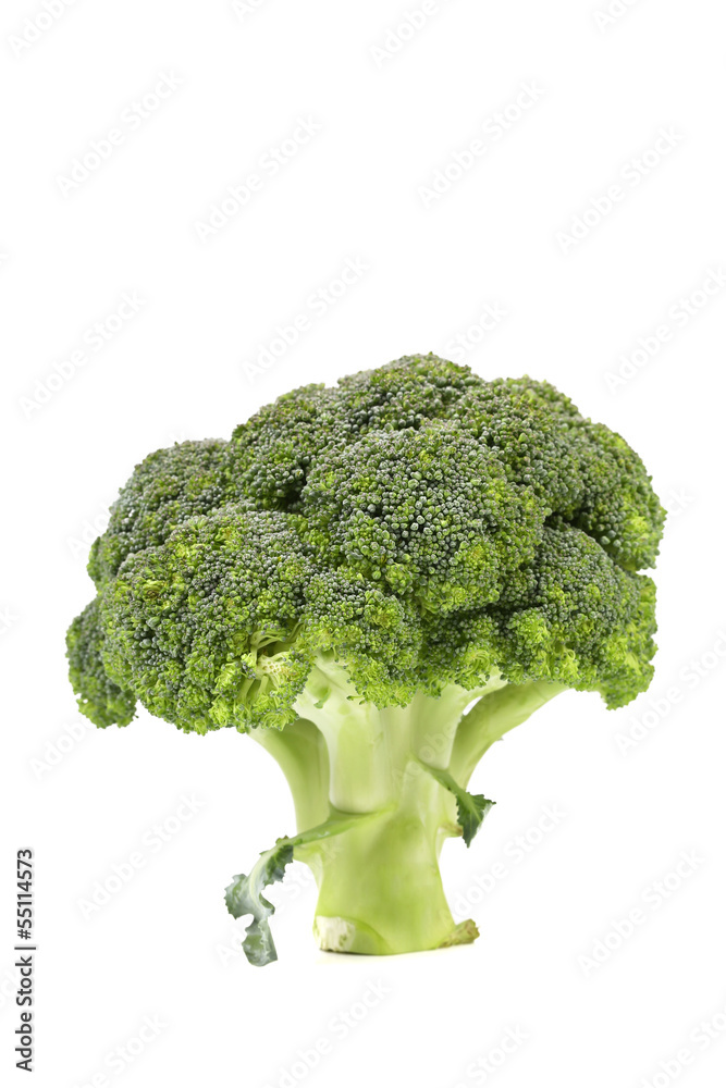 Fresh healthy brocoli Fresh healthy brocoli