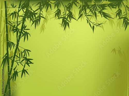 Fototapeta Naklejka Na Ścianę i Meble -  green color bamboo illustration