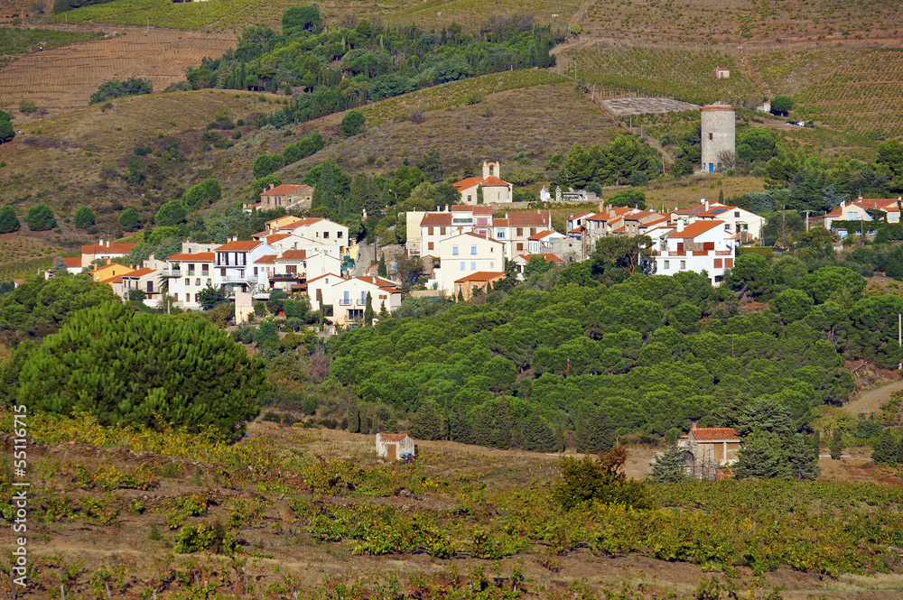 Mediterranean village with fields of vineyard