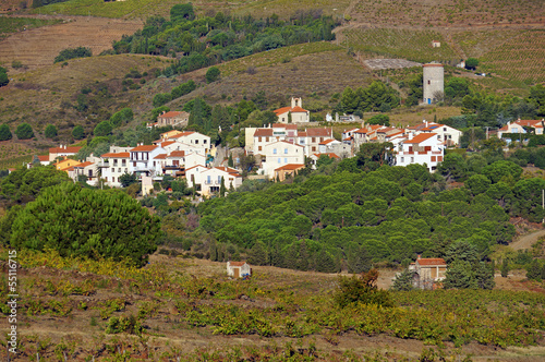 Mediterranean village with fields of vineyard