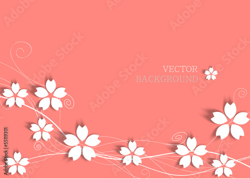 white cherry blossom on pink background