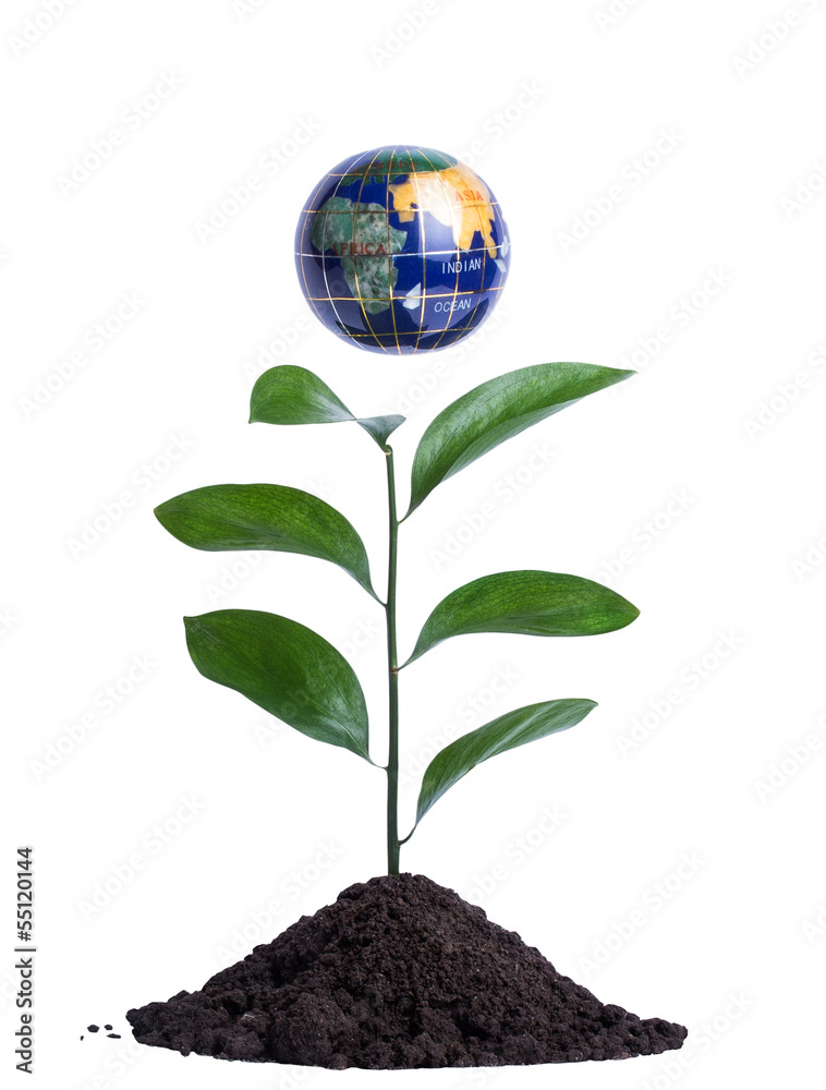 Green sprout with a globe above, isolated on white Green sprout with a globe above, isolated on white