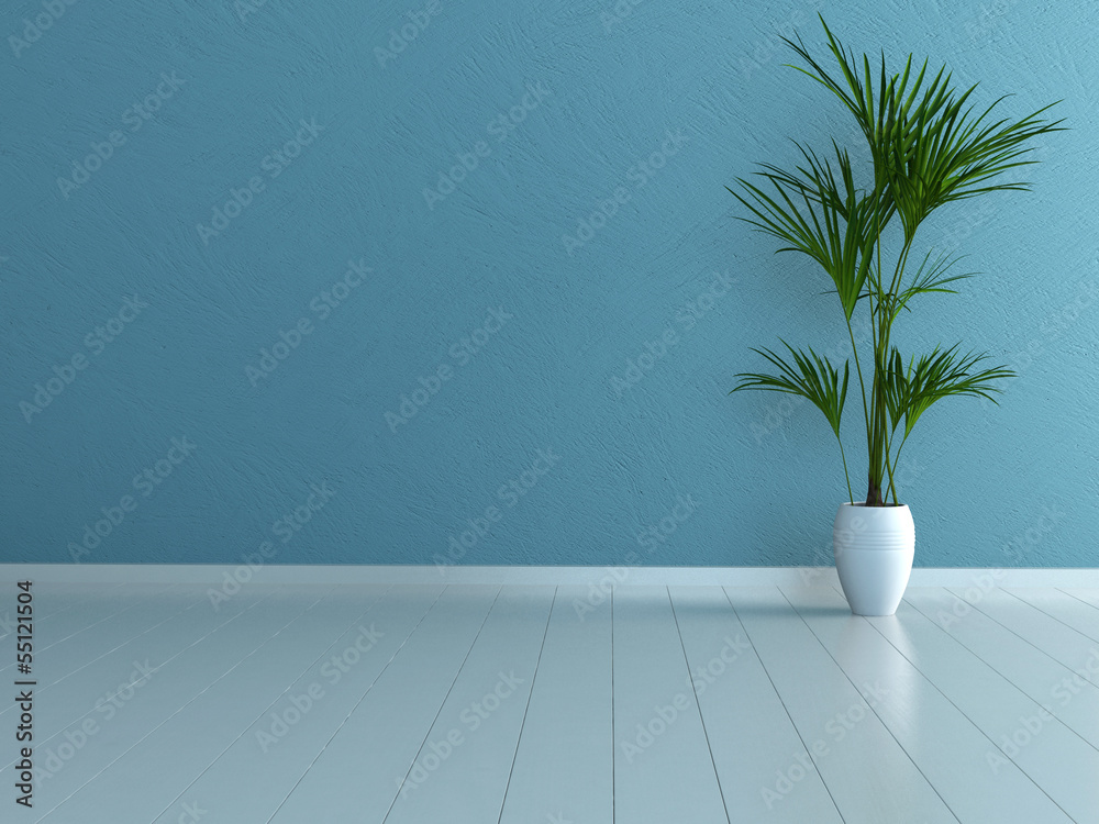 Empty blue room with white parquet and palm plant Empty blue room with white parquet and palm plant