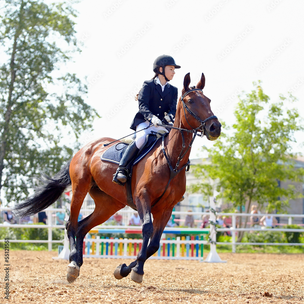 The sportswoman on a red horse. The sportswoman on a red horse.