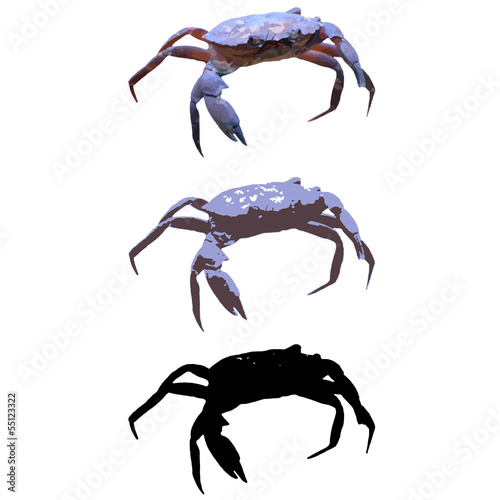 Crab 01