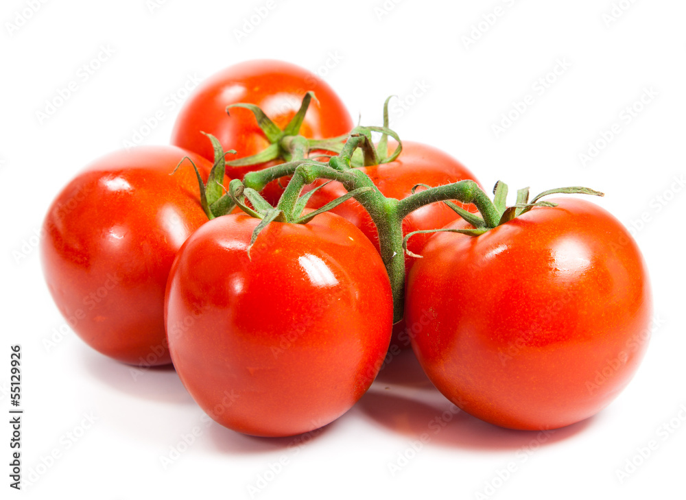 Closeup of tomatoes on the vine isolated on white. Tomato branch Closeup of tomatoes on the vine isolated on white. Tomato branch