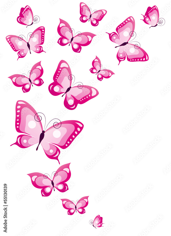 butterflies design butterflies design