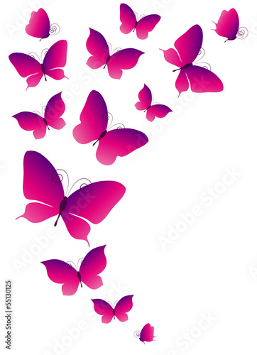 butterflies design #55130125
