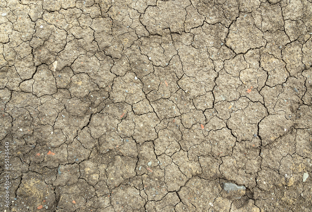 Fototapeta premium ground dry