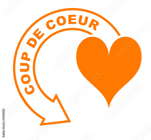 coup de cœur flèche orange