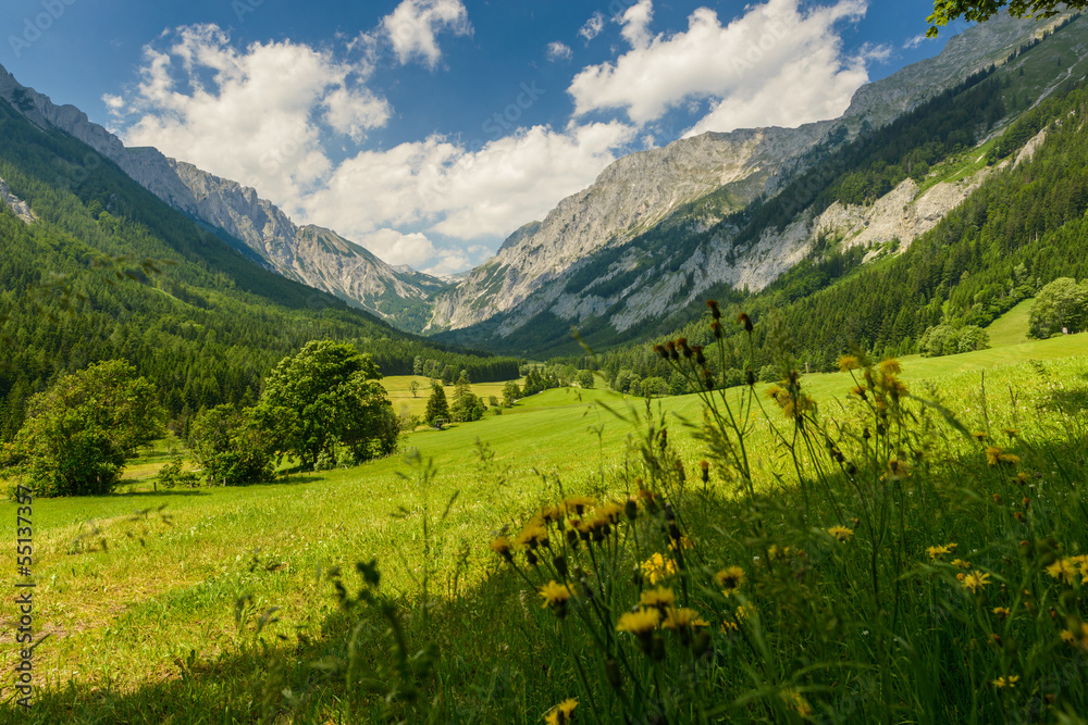 Obraz premium pola i góry-Dolina Seewiesen, Styria, Austria.