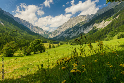 fields and mountains-Valley Seewiesen Styria Austria.