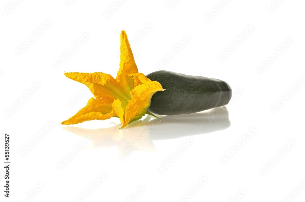 Fototapeta premium Courgette avec fleur