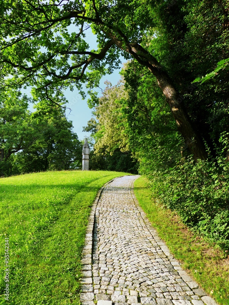 Obraz premium Waldweg im Sommer