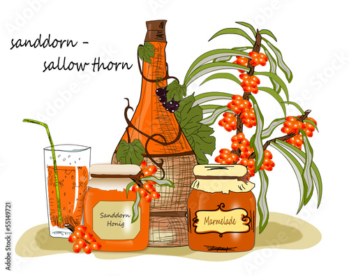 Sanddorn Honig, Marmelade, Wein Illustration