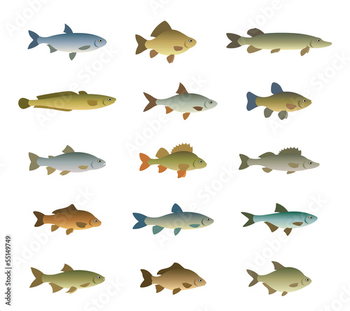 Set of fish
