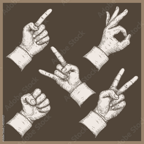 image of five hands