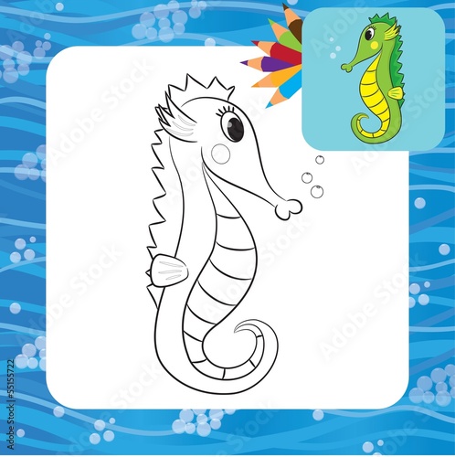 Cartoon sea horse. Coloring book. Vector illustration photo