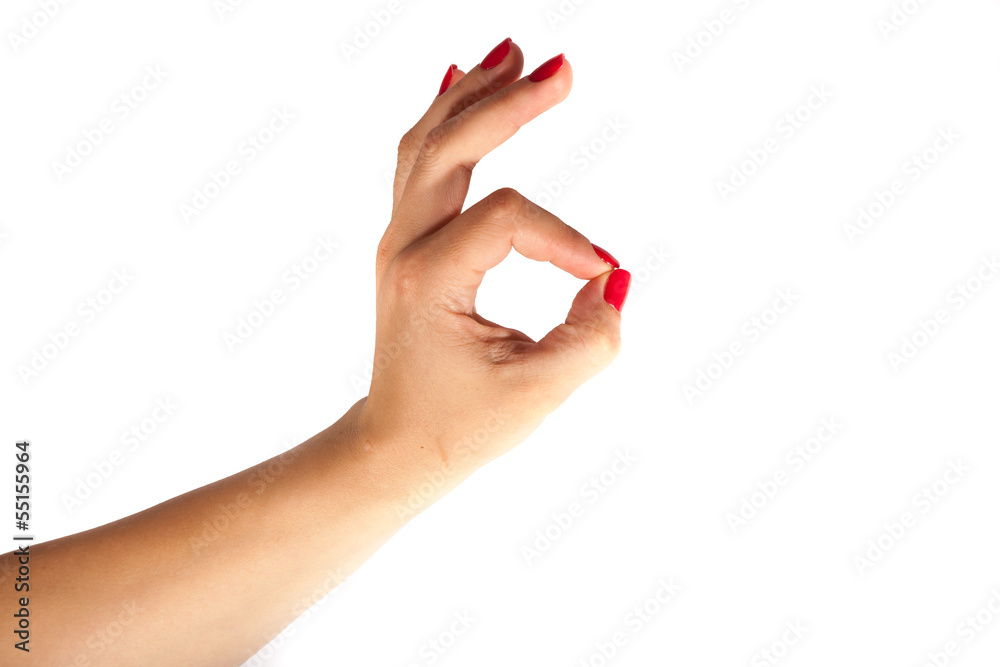 Close-up of beautiful woman's hand isolated on white background Close-up of beautiful woman's hand isolated on white background