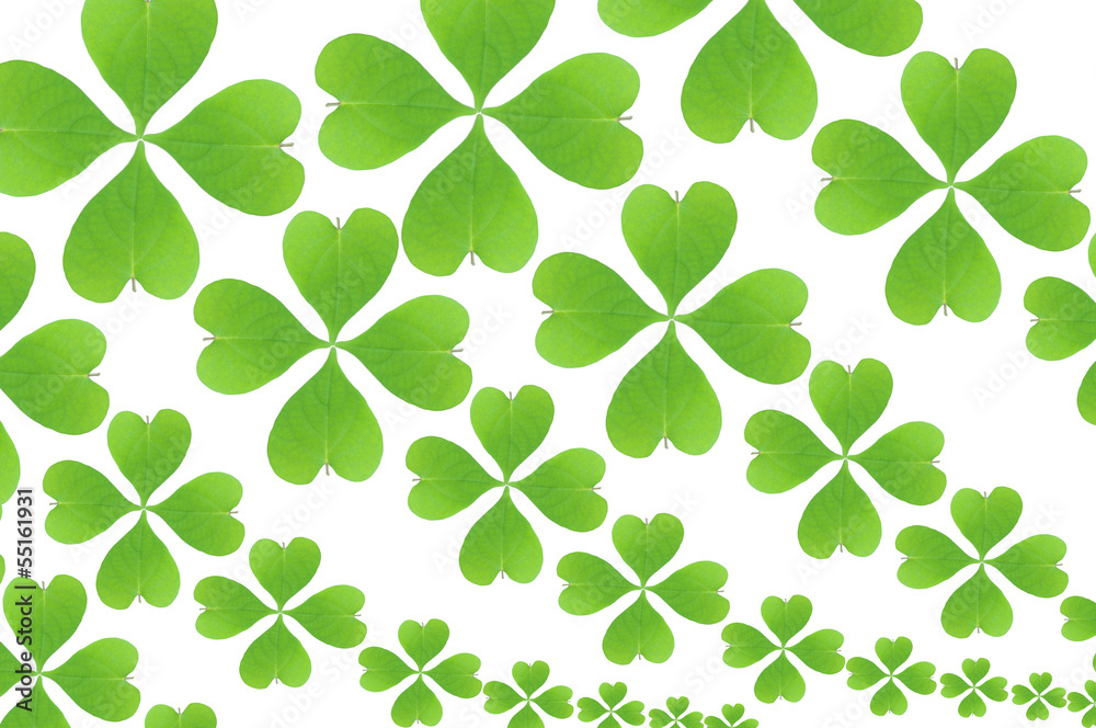green leaves wallpaper green leaves wallpaper
