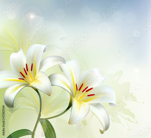 Fototapeta Naklejka Na Ścianę i Meble -  Holiday background with two white lilies. Vector.