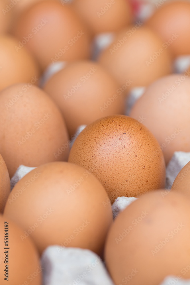 chicken eggs chicken eggs