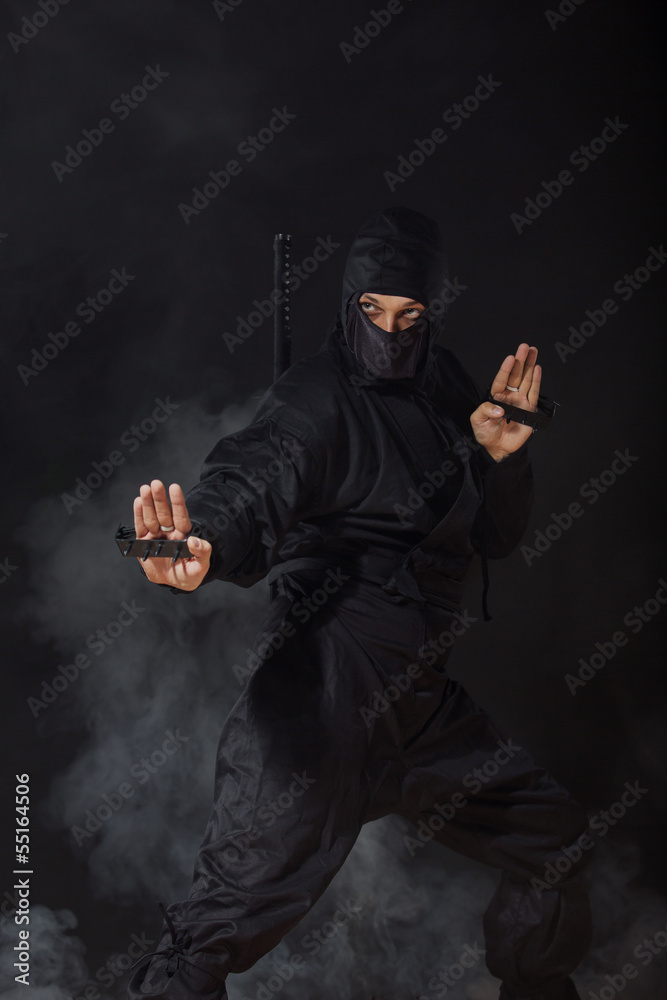 Ninja in smoke in defence position