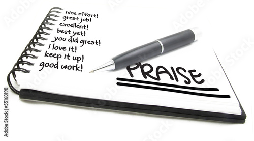 Praise Positive Reviews and Comments