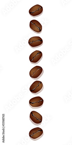 Different Kind of Coffee Beans in A Vertical Row