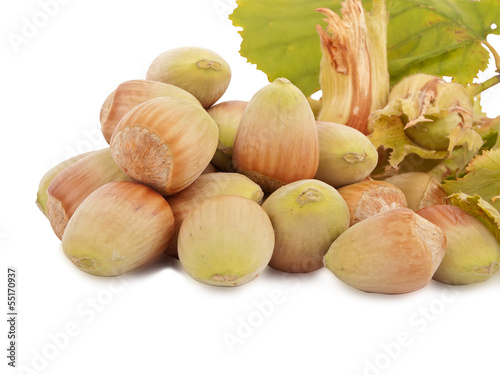 Fresh hazelnuts