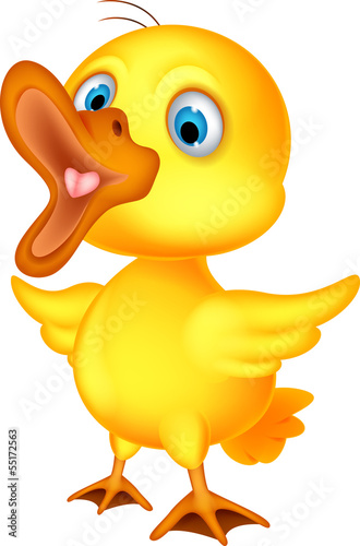 little chick cartoon presenting