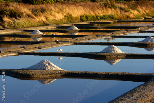 marais salants avec gros sel à Guérande