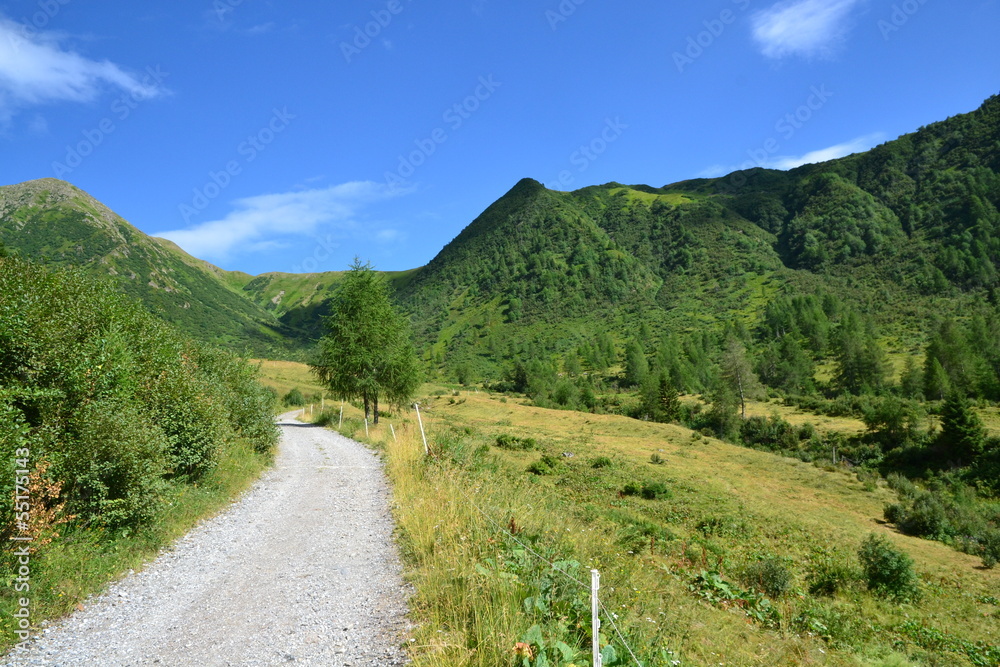 Alpi Carniche Alpi Carniche
