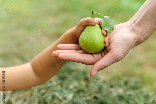 child's hand with pear