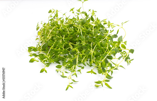 Thyme.