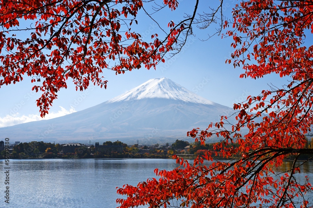 Fototapeta premium Mt. Fuji jesienią