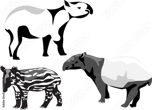 malayan tapir with young