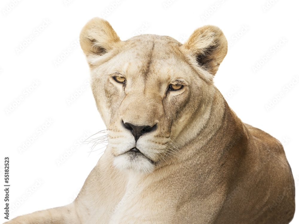 Obraz premium Her majesty