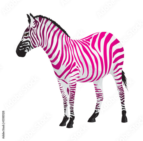 Zebra with strips of pink color.