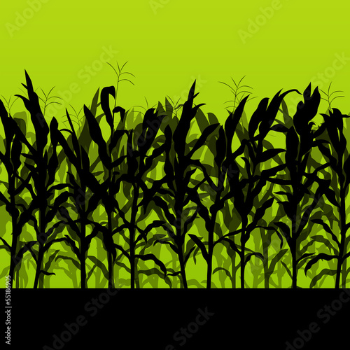 Corn field detailed countryside landscape illustration backgroun