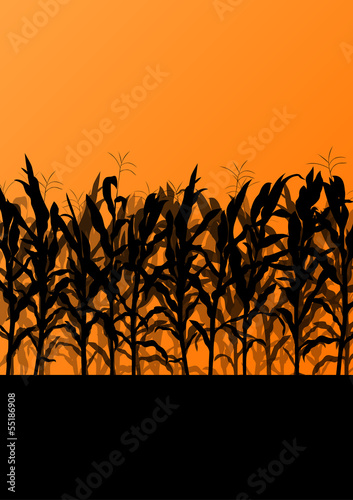 Corn field detailed countryside landscape illustration backgroun