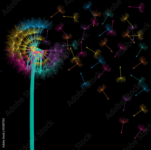 Blow dandelion vector background concept