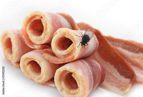 macro shot of fly on meat photo