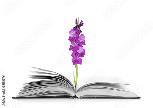 Open book with  gladiolus flower isolated on white © Africa Studio
