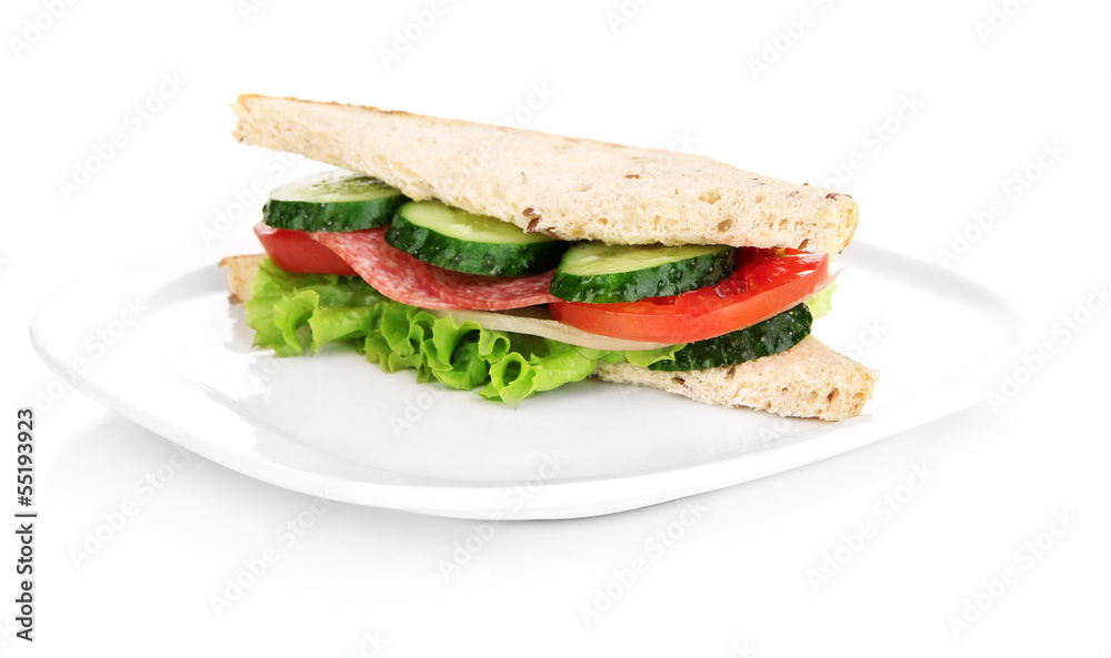 Tasty sandwich with salami sausage and vegetables Tasty sandwich with salami sausage and vegetables