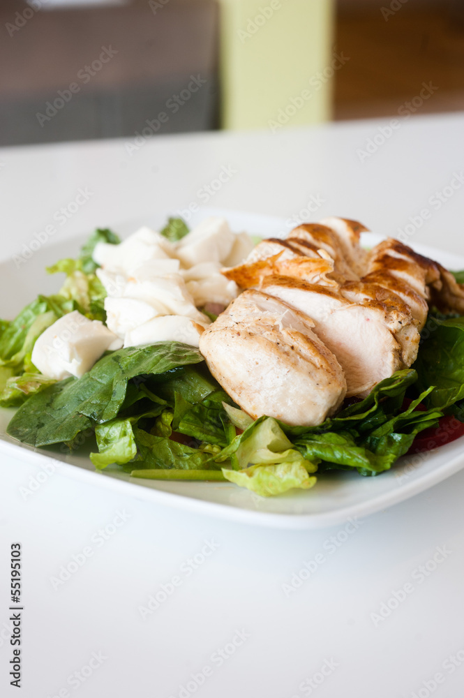 plate of fresh chopped grilled chicken salad plate of fresh chopped grilled chicken salad