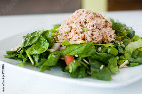 fresh chopped tuna salad
